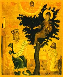 ღირსი დავით თესალონიკელი